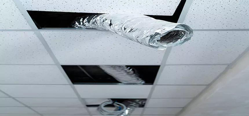 Our Air Duct Pet Hair Removal Services in Glen Avon, CA