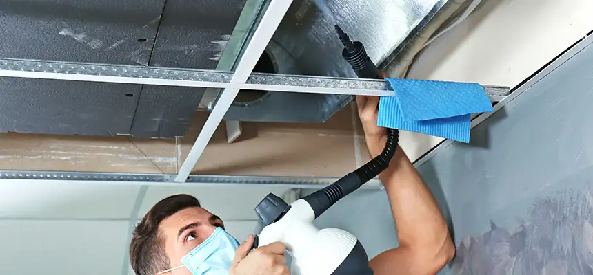 Our Air Duct Rodent Removal Services in Glen Avon, CA