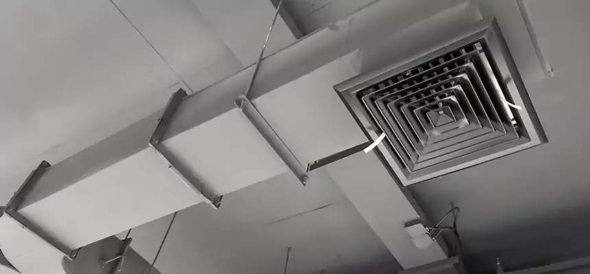 Restorative Allergy Relief Vent Cleaning – Coil, Blower & Housing Detail in Glen Avon