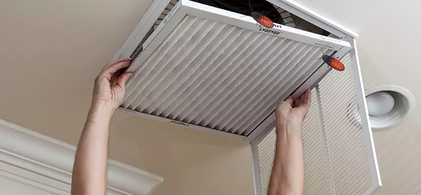 Our Insect Removal from Air Ducts Services in Glen Avon, CA
