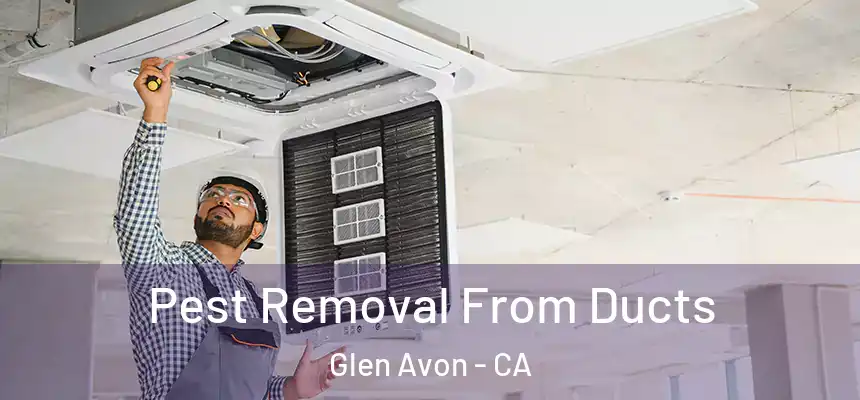Pest Removal From Ducts Glen Avon - CA