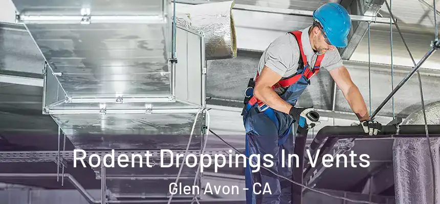  Rodent Droppings In Vents Glen Avon - CA