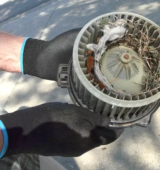 About Air Duct Mice Removal in Glen Avon, CA