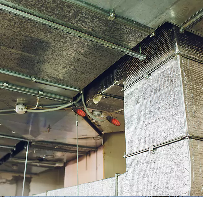 Why Homeowners & Businesses Trust Us in Glen Avon, CA?