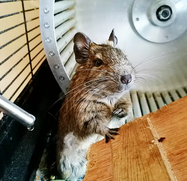 Why Homeowners & Businesses Trust Us Glen Avon, CA