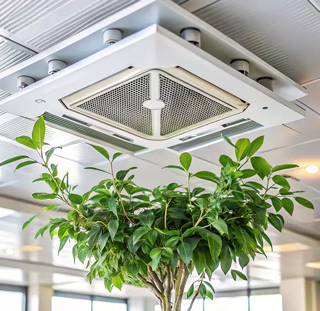 Why Homeowners & Businesses Trust Us in Glen Avon, CA?