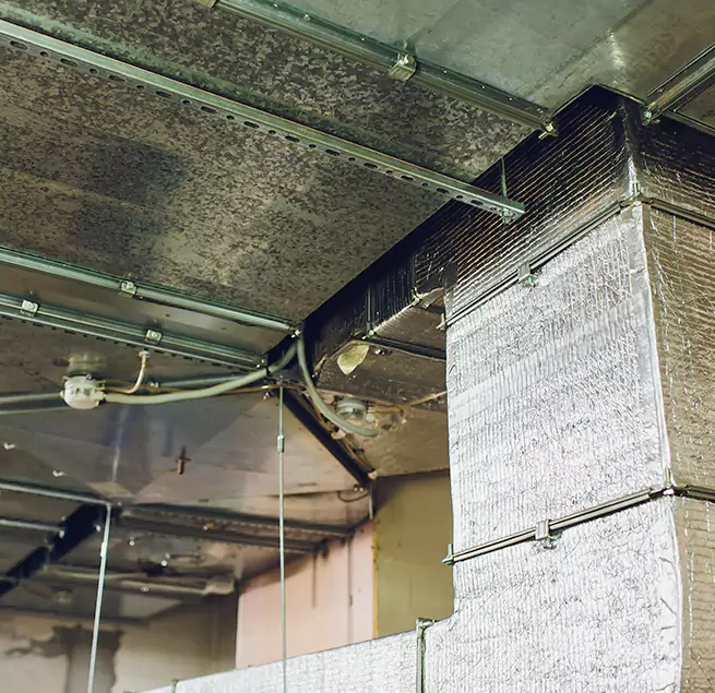 Why Homeowners & Businesses Trust Us in Glen Avon, CA?